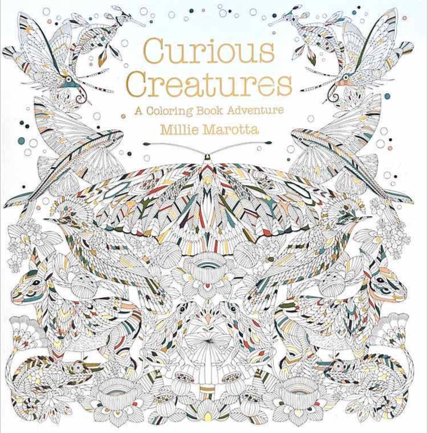 Curious Creatures: A Coloring Book Adventure